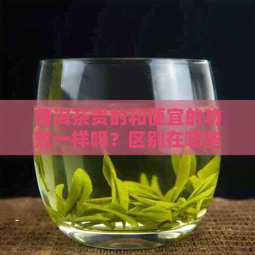 普洱茶贵的和便宜的功效一样吗？区别在哪些方面？