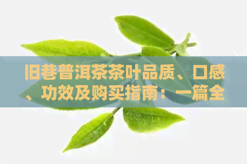 旧巷普洱茶茶叶品质、口感、功效及购买指南：一篇全面的详细了解