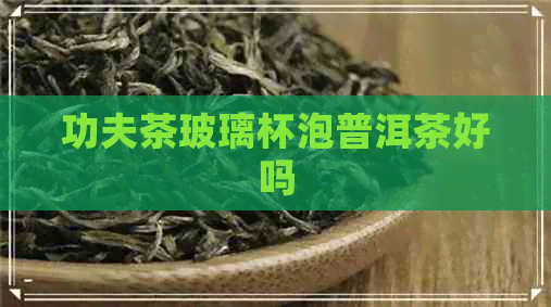 功夫茶玻璃杯泡普洱茶好吗