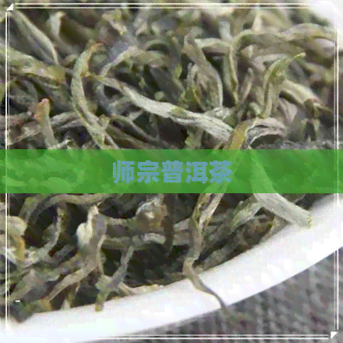 师宗普洱茶