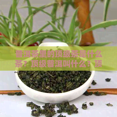 普洱茶里的顶级茶是什么茶？顶级普洱叫什么？顶级普洱茶的口感如何？