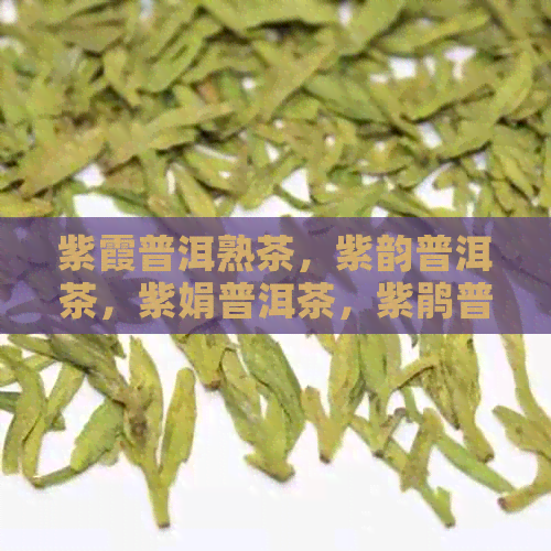 紫霞普洱熟茶，紫韵普洱茶，紫娟普洱茶，紫鹃普洱茶，普洱茶中的紫霞之美