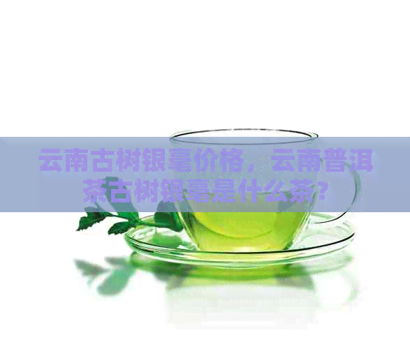 云南古树银毫价格，云南普洱茶古树银毫是什么茶？