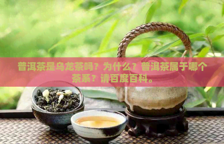 普洱茶是乌龙茶吗？为什么？普洱茶属于哪个茶系？请百度百科。