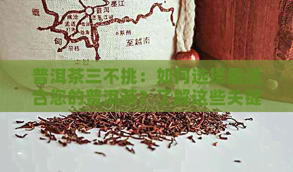 普洱茶三不挑：如何选择最适合您的普洱茶？了解这些关键因素！