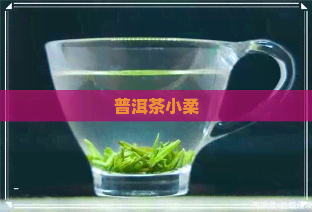 普洱茶小柔