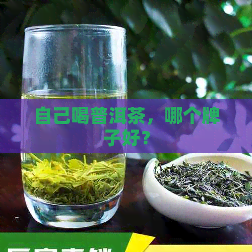 自己喝普洱茶，哪个牌子好？