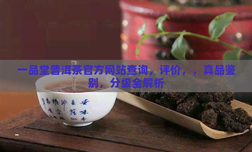 一品堂普洱茶官方网站查询，评价，，真品鉴别，分级全解析