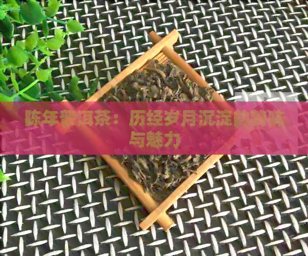 陈年普洱茶：历经岁月沉淀的韵味与魅力