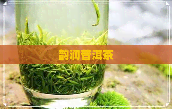 韵润普洱茶