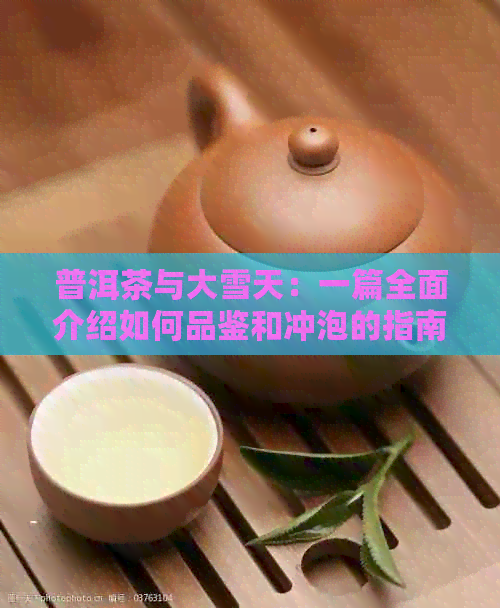 普洱茶与大雪天：一篇全面介绍如何品鉴和冲泡的指南