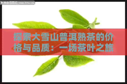 探索大雪山普洱熟茶的价格与品质：一场茶叶之旅的极指南