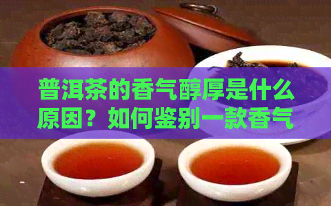 普洱茶的香气醇厚是什么原因？如何鉴别一款香气醇厚的普洱茶？