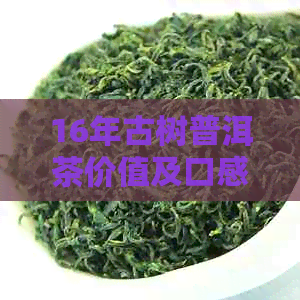 16年古树普洱茶价值及口感：能否继续饮用？