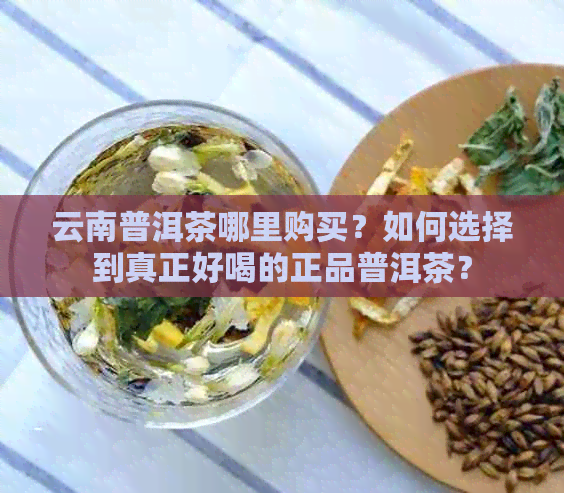 云南普洱茶哪里购买？如何选择到真正好喝的正品普洱茶？