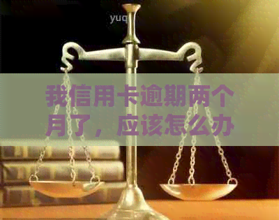 我信用卡逾期两个月了，应该怎么办？