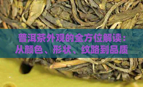 普洱茶外观的全方位解读：从颜色、形状、纹路到品质特征，让你轻松鉴别好茶