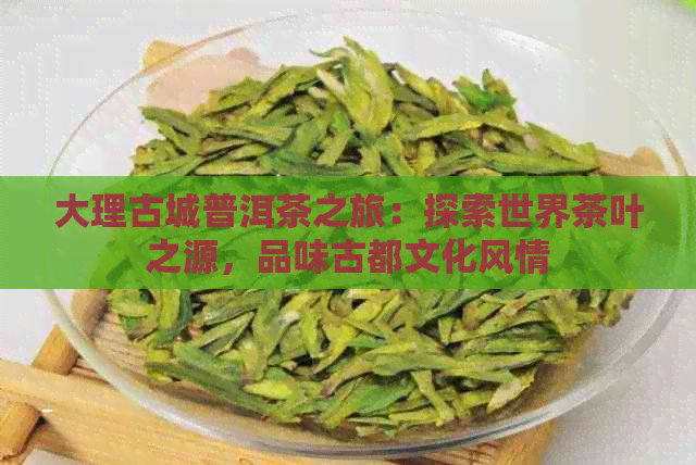 大理古城普洱茶之旅：探索世界茶叶之源，品味古都文化风情