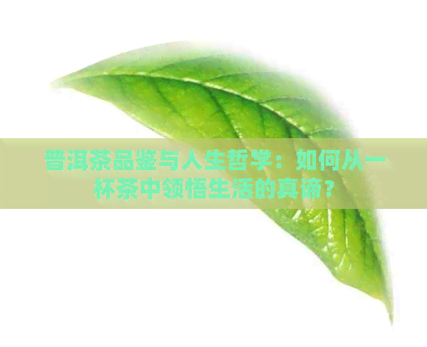 普洱茶品鉴与人生哲学：如何从一杯茶中领悟生活的真谛？