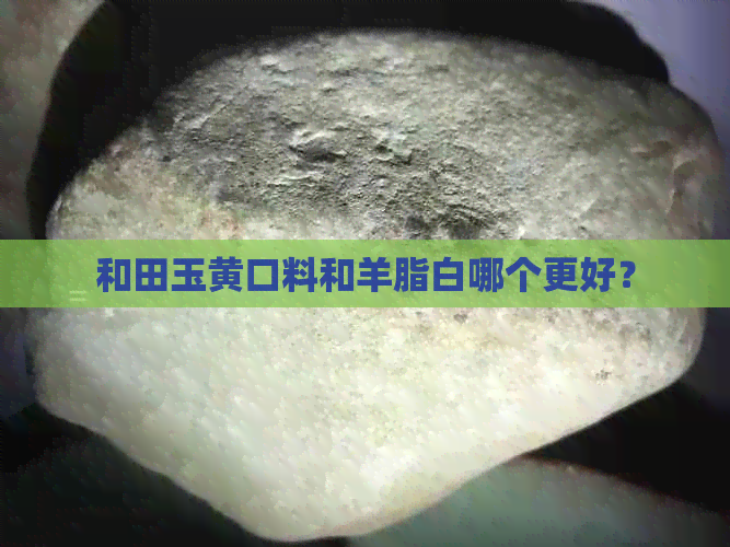 和田玉黄口料和羊脂白哪个更好？