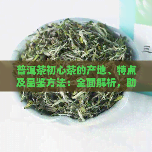 普洱茶初心茶的产地、特点及品鉴方法：全面解析，助您轻松选购与品饮