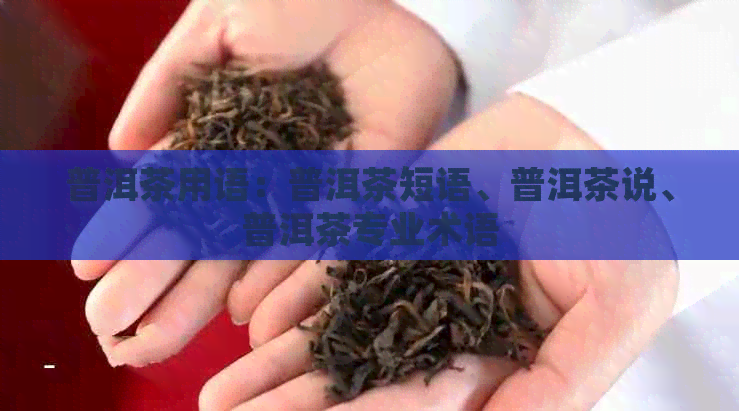 普洱茶用语：普洱茶短语、普洱茶说、普洱茶专业术语