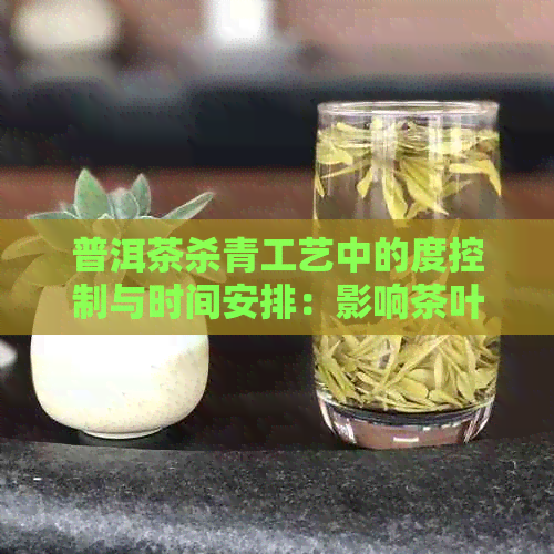 普洱茶杀青工艺中的度控制与时间安排：影响茶叶品质的关键因素