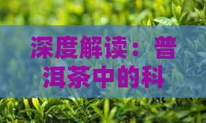 深度解读：普洱茶中的科学之美，以及如何脱离     的困扰