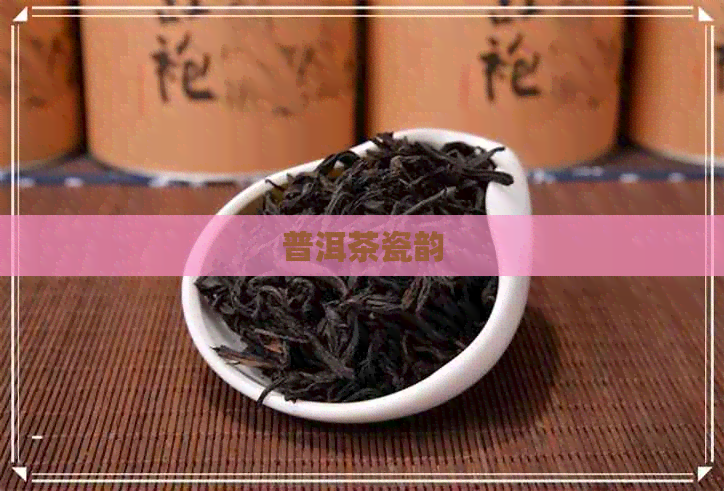 普洱茶瓷韵