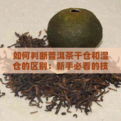 如何判断普洱茶干仓和湿仓的区别：新手必看的技巧