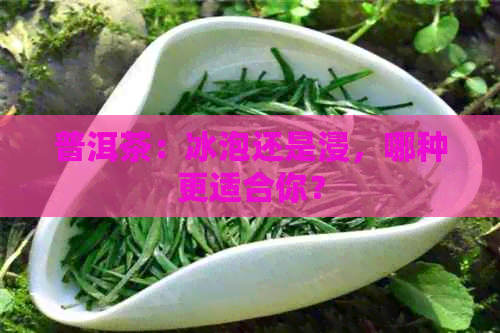 普洱茶：冰泡还是浸，哪种更适合你？