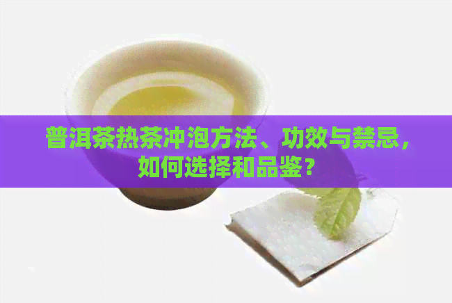 普洱茶热茶冲泡方法、功效与禁忌，如何选择和品鉴？