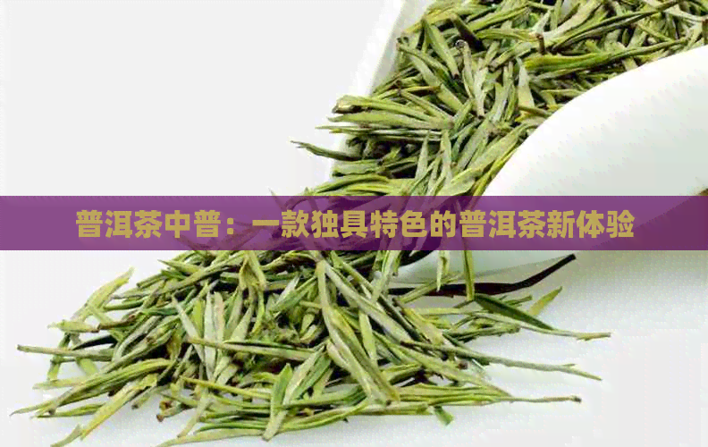 普洱茶中普：一款独具特色的普洱茶新体验