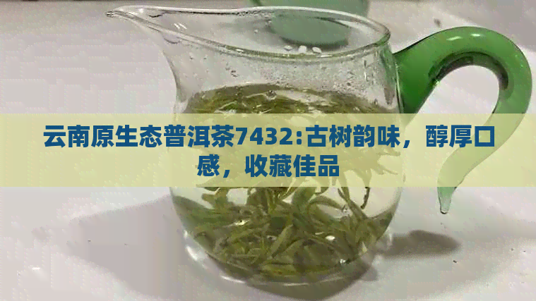 云南原生态普洱茶7432:古树韵味，醇厚口感，收藏佳品