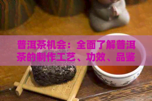 普洱茶机会：全面了解普洱茶的制作工艺、功效、品鉴方法及投资前景