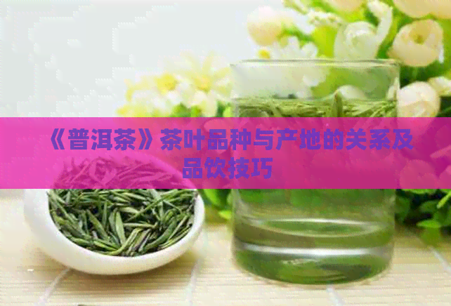 《普洱茶》茶叶品种与产地的关系及品饮技巧