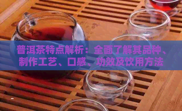 普洱茶特点解析：全面了解其品种、制作工艺、口感、功效及饮用方法