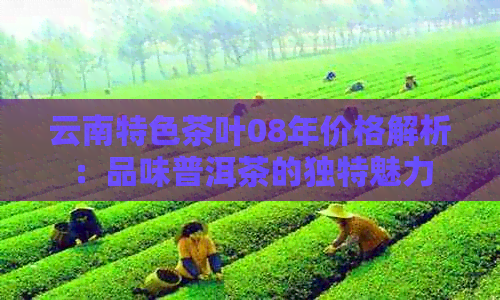 云南特色茶叶08年价格解析：品味普洱茶的独特魅力