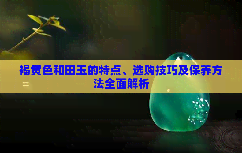 褐黄色和田玉的特点、选购技巧及保养方法全面解析