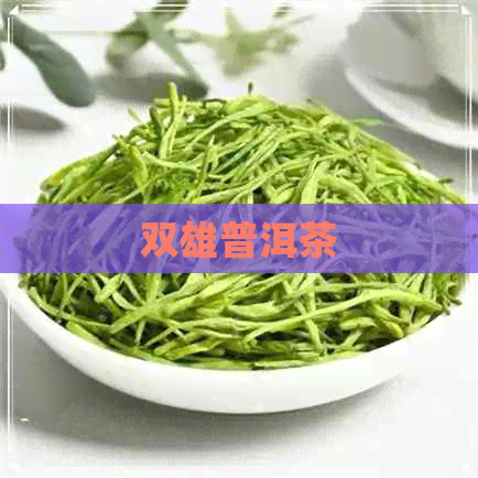 双雄普洱茶