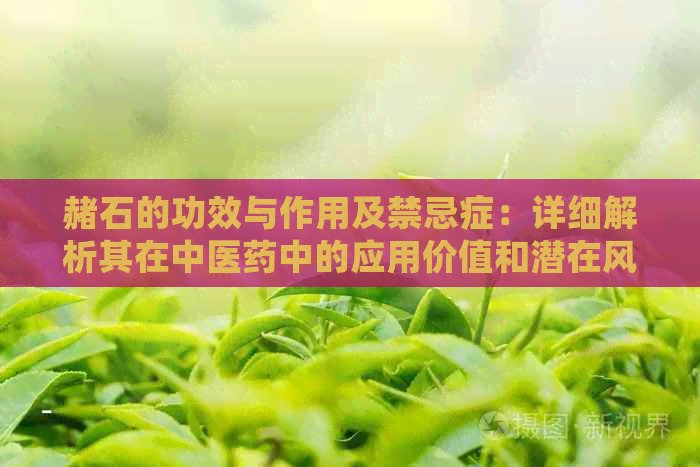 赭石的功效与作用及禁忌症：详细解析其在中医药中的应用价值和潜在风险。