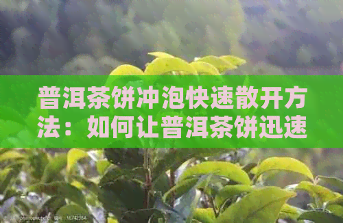 普洱茶饼冲泡快速散开方法：如何让普洱茶饼迅速散开？