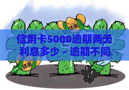 信用卡5000逾期两天利息多少 - 逾期不同天数的信用卡利息计算方法