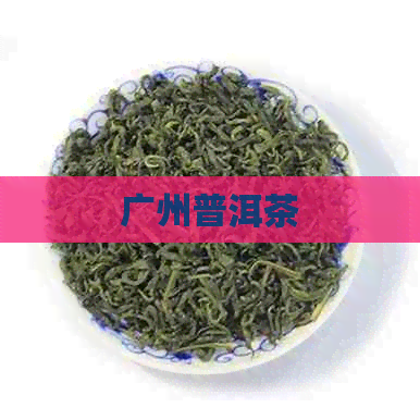 广州普洱茶