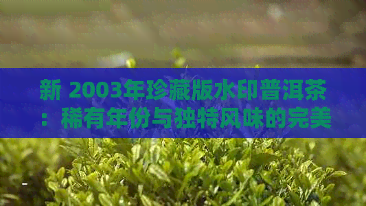 新 2003年珍藏版水印普洱茶：稀有年份与独特风味的完美结合