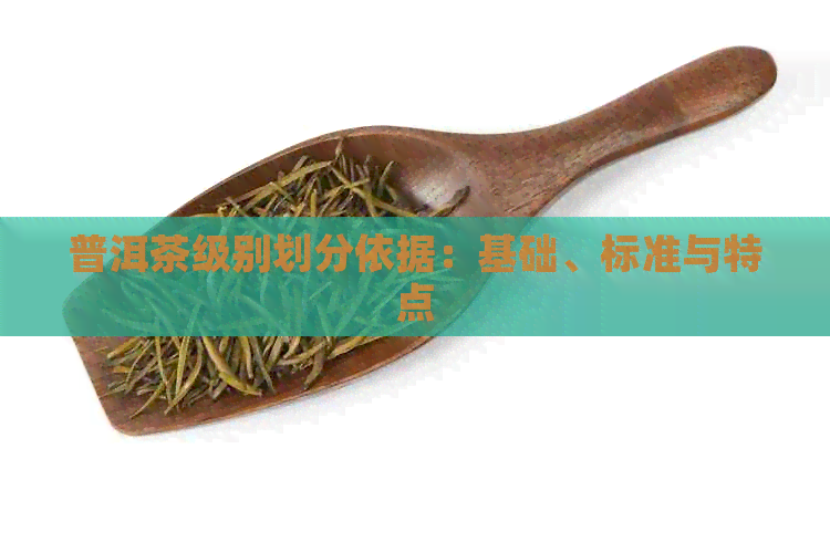 普洱茶级别划分依据：基础、标准与特点