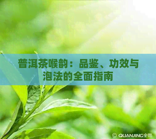 普洱茶喉韵：品鉴、功效与泡法的全面指南