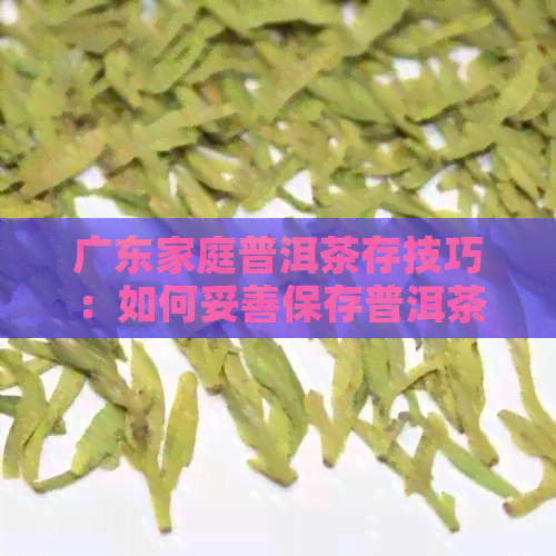 广东家庭普洱茶存技巧：如何妥善保存普洱茶，让其品质保持状态？