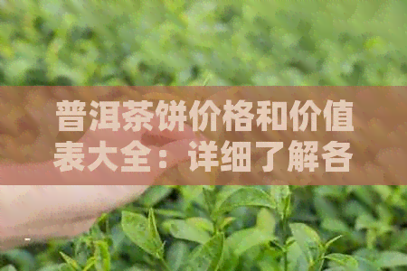 普洱茶饼价格和价值表大全：详细了解各类普洱茶饼的价格和价值。