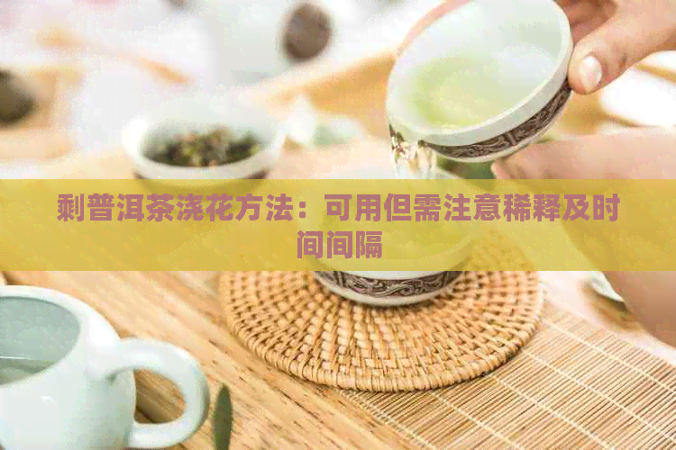 剩普洱茶浇花方法：可用但需注意稀释及时间间隔